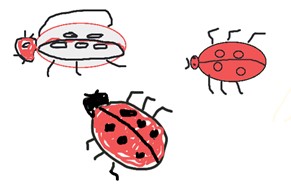 Three different sketches of a lady bug.