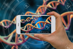 Creating a Biology AR poster using Unity Image