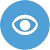 Visual Impairment icon