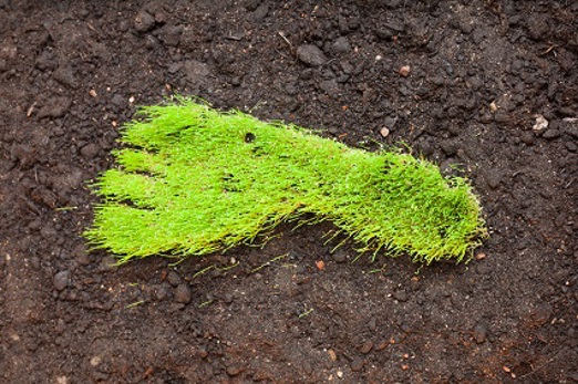 Eco-calculatorImage