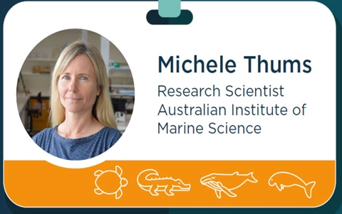 career-profile-michele-thums-australian-institute-of-marine-science-research-scientist.jpg