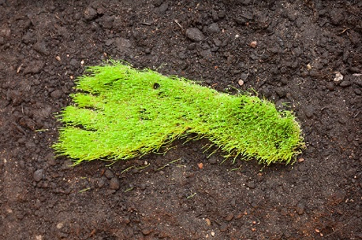 eco-calculator_thumbnail.jpg