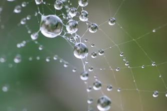 Teaching Web Design With Html And Css Thumbnail