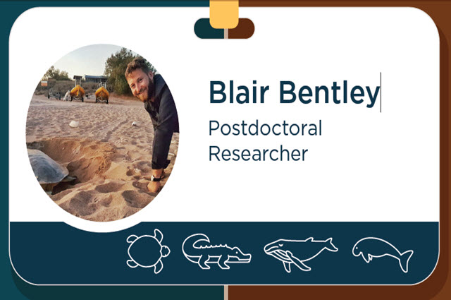 Blair Bentley Career Profile