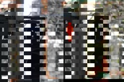 Discovering information in the community Image