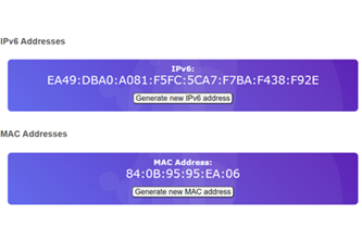 Ip Addresses Mac Addresses And Urls Thumbnail