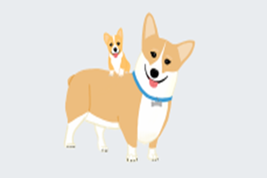Corgis Thumbnail
